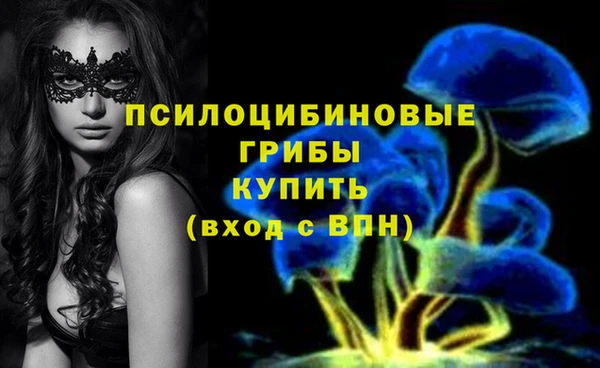 мяу мяу мука Белоозёрский
